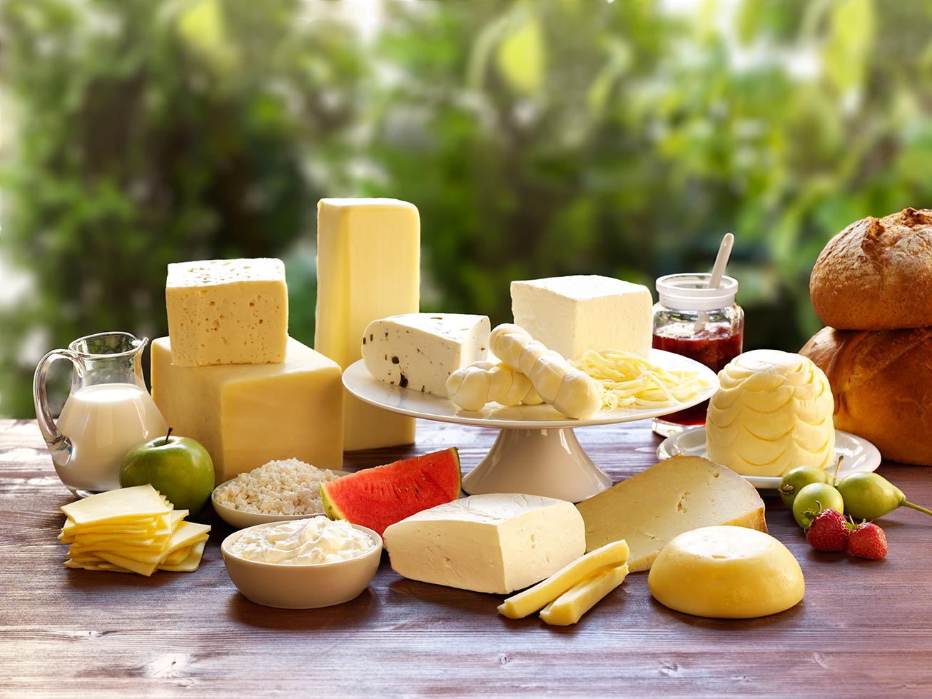 dairy products manufacturer company GÜRSÜT