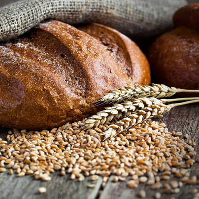 turkish-flour-producer-tekbaş