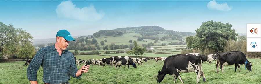 teta-teknik-tarım-agriculture-and-livestock-company