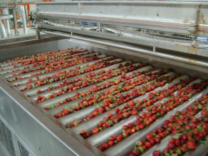 Fruit Concentrate Producer