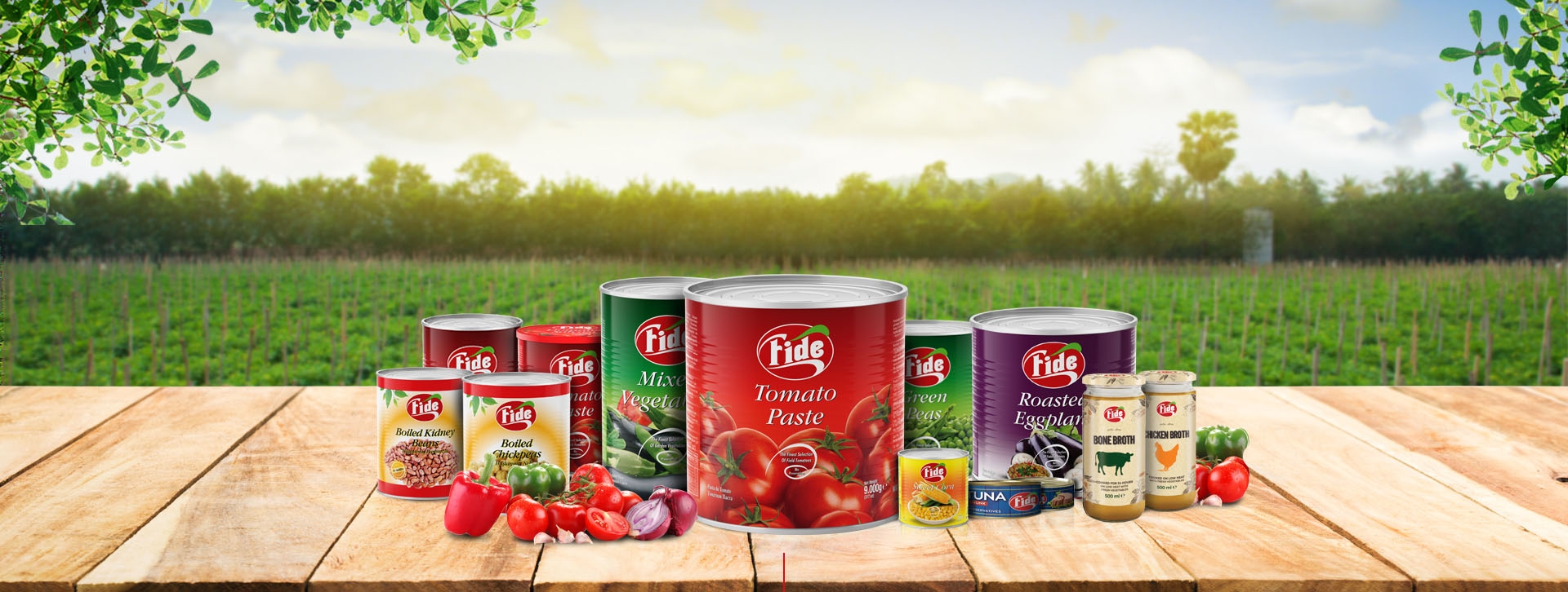 canned-products-manufacturer-fide