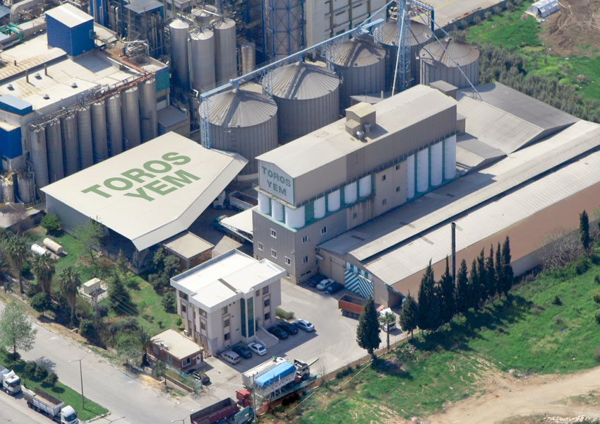 turkish cattle feed producer