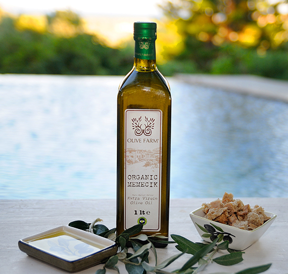 turkish-olive-products-company-olive-farm