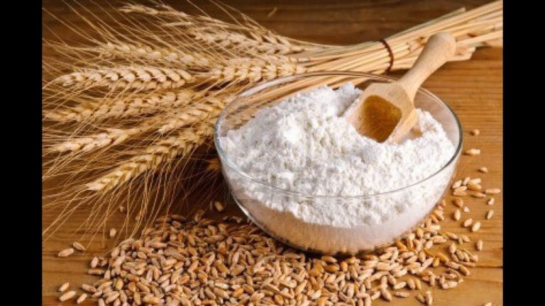 turkish-flour-producer-tiyan