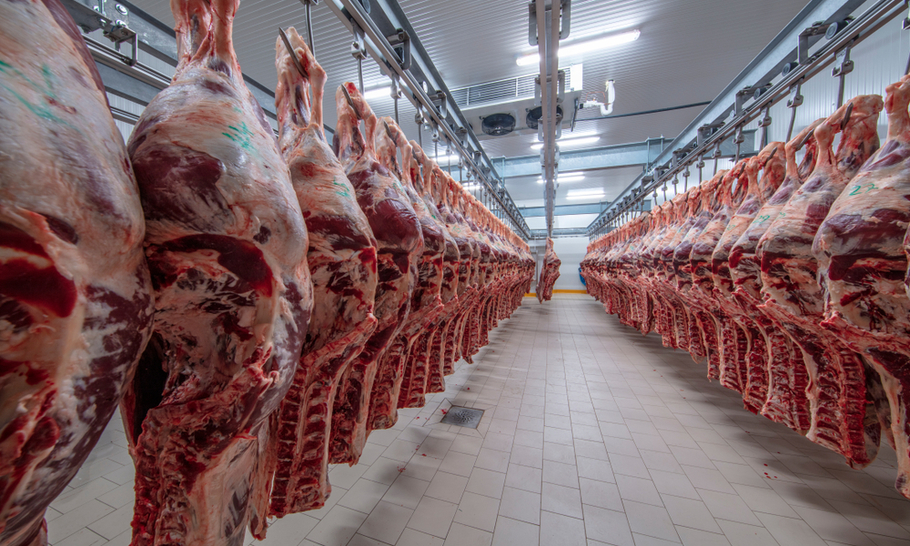 Halal product in the European halal Market: halal meat
