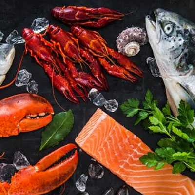 Seafood Types and Growing Times in Turkey