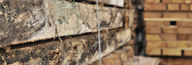 forest-products-manufacturer-novawood