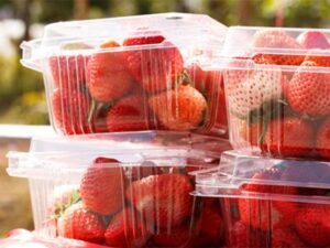 kiriktas-packagingproducerinturkiye